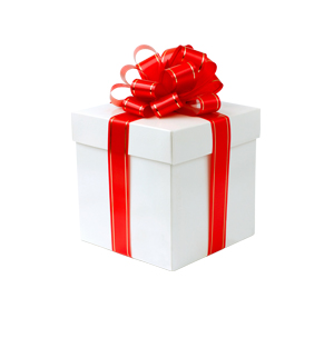 Cadeau pour tout achat d'un détecteur de métaux