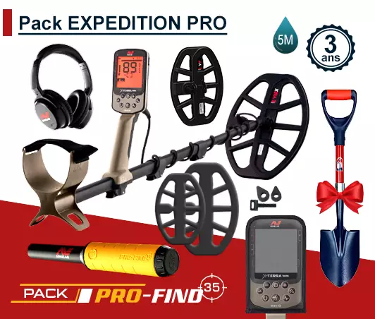 Minelab X-Terra Pro avec casque sans fil ML85